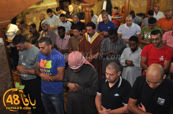 kaber yaffa js (3).JPG